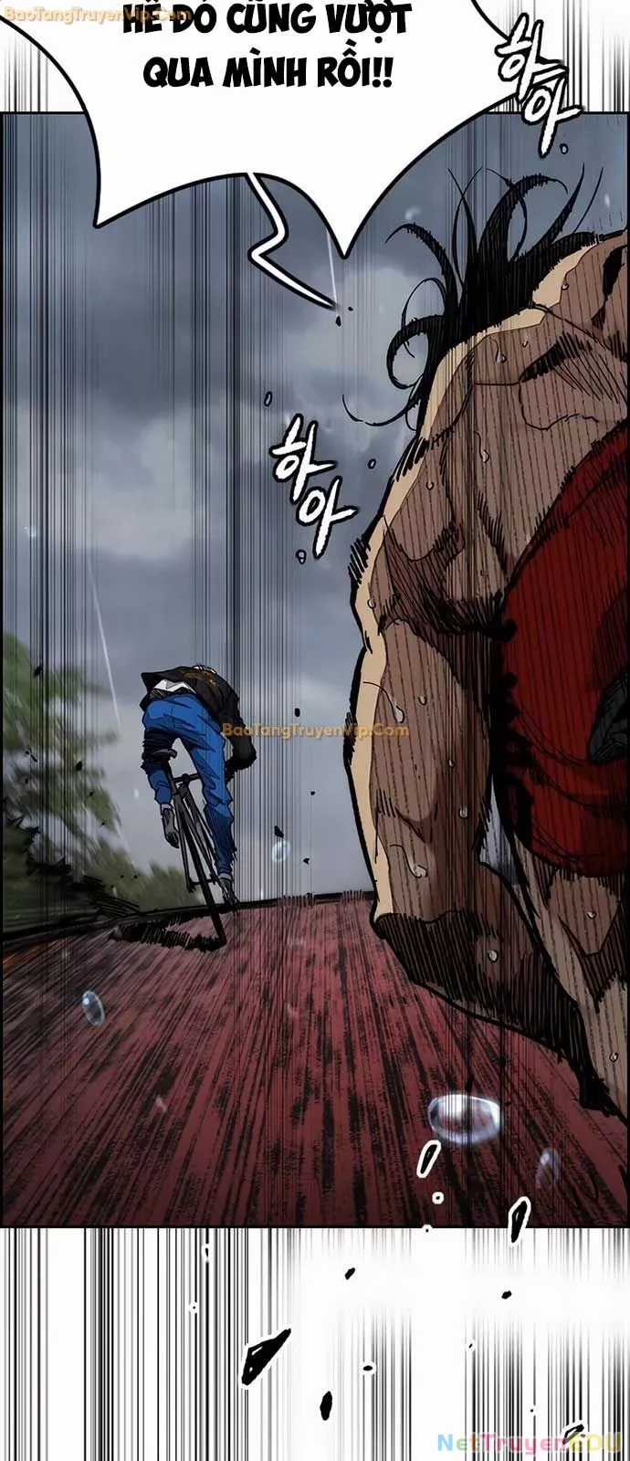 Thể Thao Cực Hạn Chapter 537 trang 38