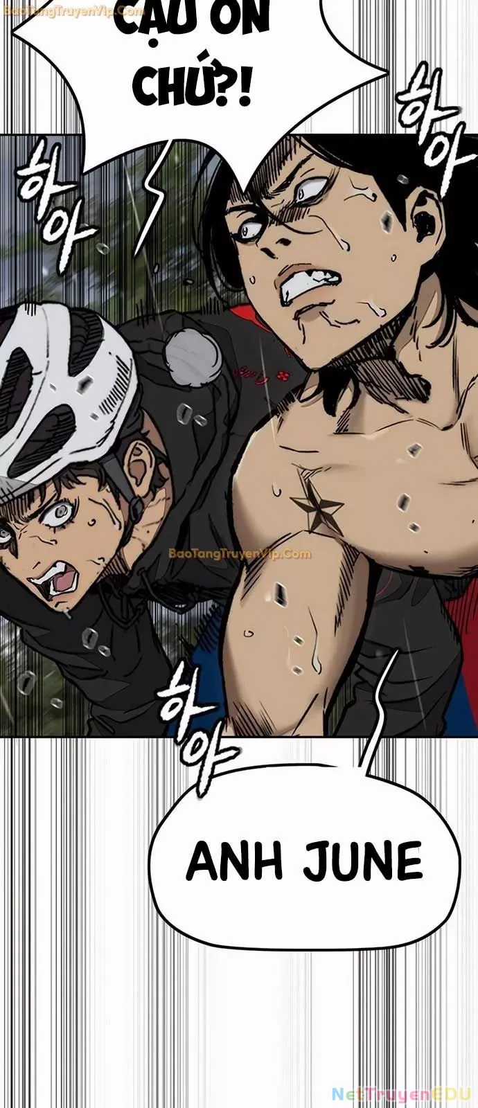 Thể Thao Cực Hạn Chapter 537 trang 41