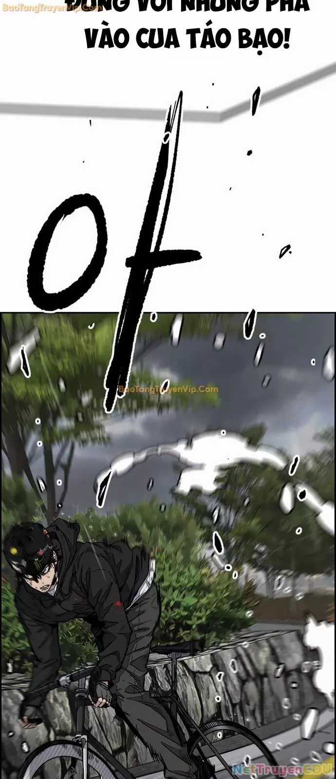 Thể Thao Cực Hạn Chapter 537 trang 52