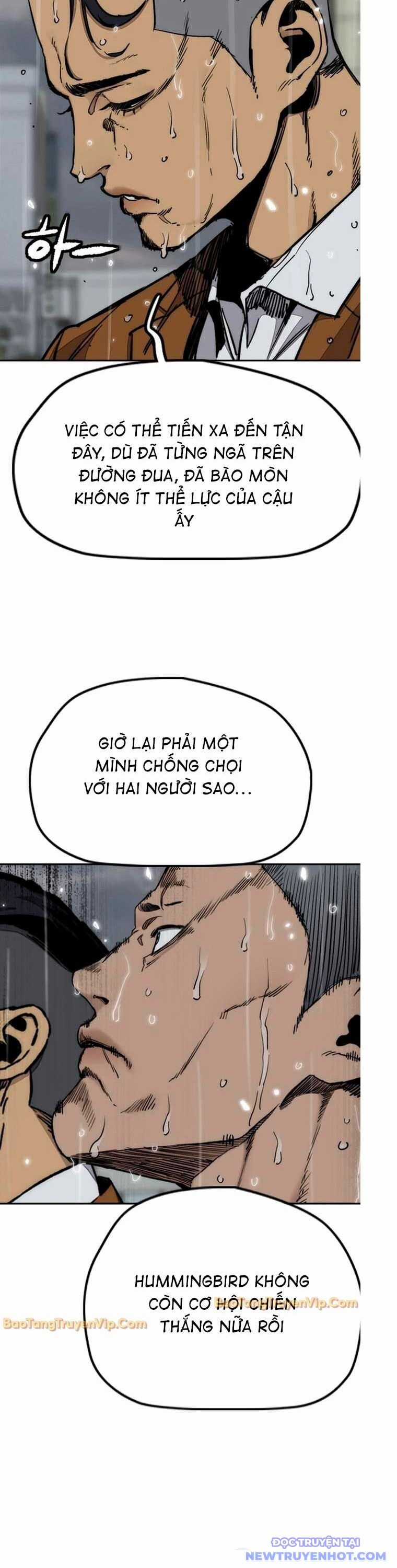 Thể Thao Cực Hạn Chapter 542 trang 51