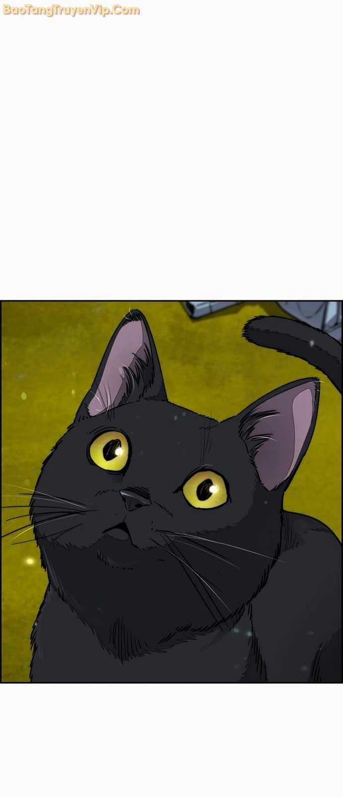 Thể Thao Cực Hạn Chương 549 trang 87