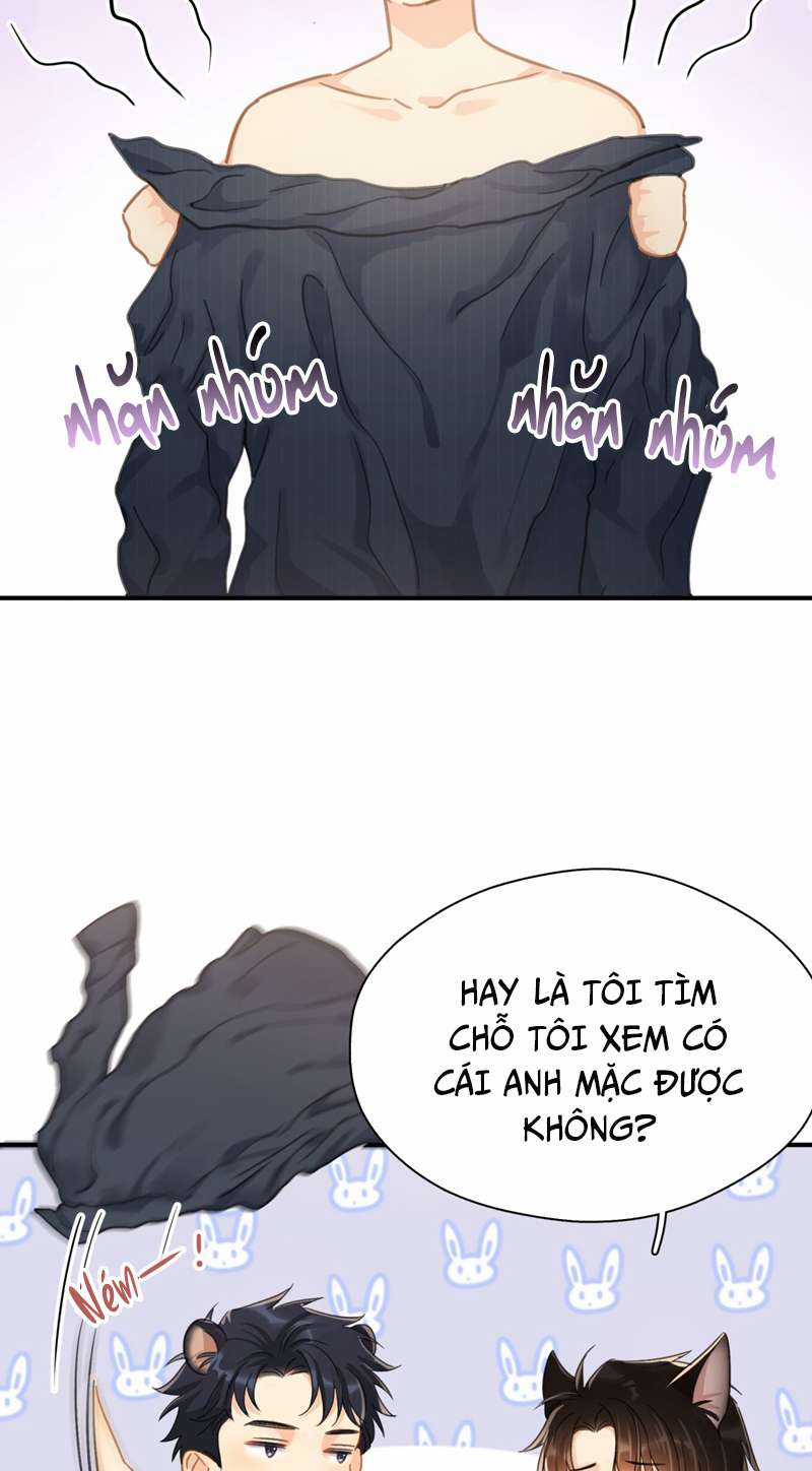 Theo Đuôi Chapter 64 trang 11