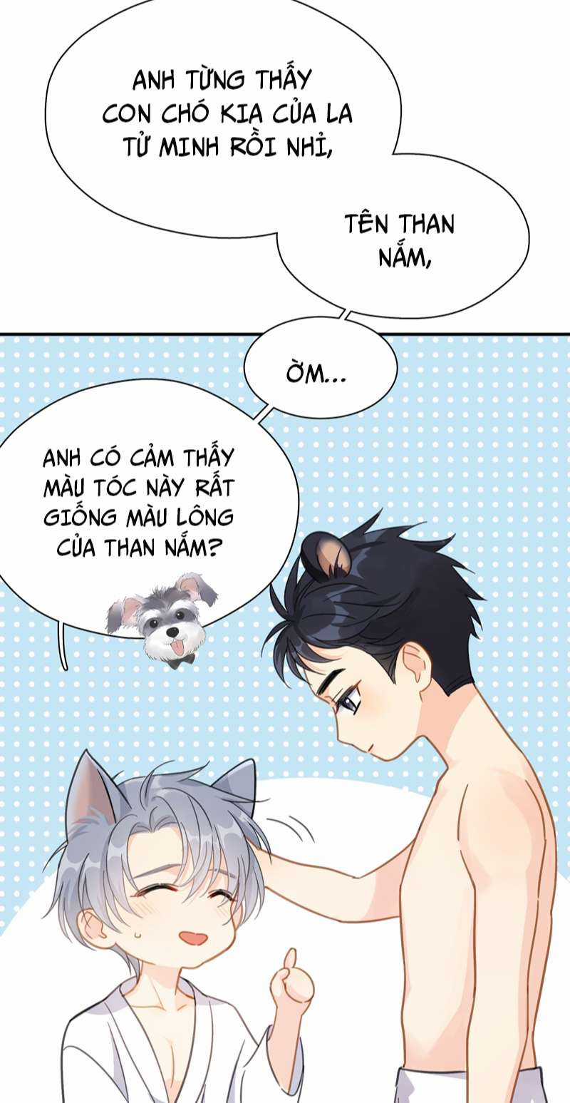 Theo Đuôi Chapter 72 trang 11