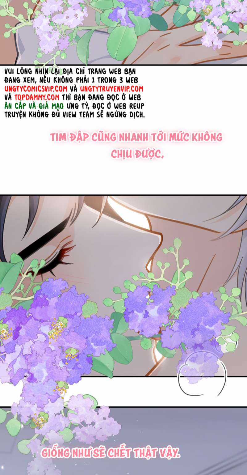 Theo Đuôi Chapter 72 trang 37