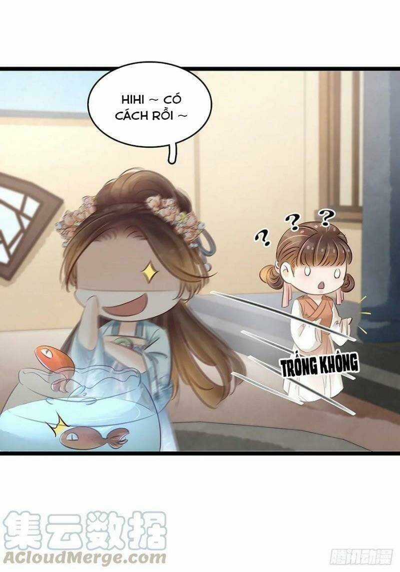 Thị Thiếp Trở Mình Bảo Điển Chapter 20 trang 28