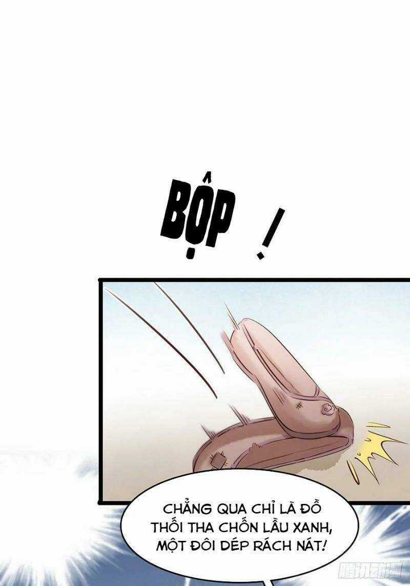 Thị Thiếp Trở Mình Bảo Điển Chapter 20 trang 29