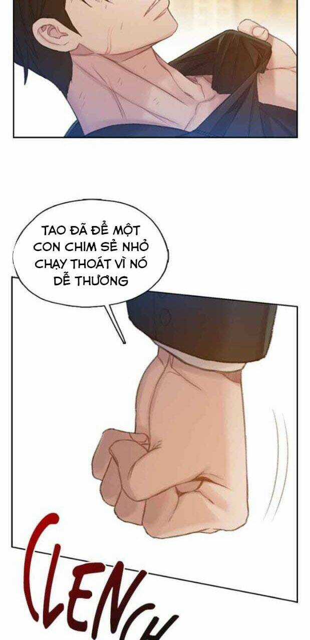 Thiền Định - Samadhi Chapter 18 trang 55