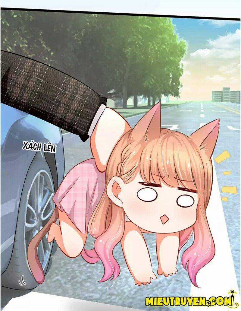 Thiên Giới Bảo Bối Của Tổng Tài Daddy Chapter 6 trang 3