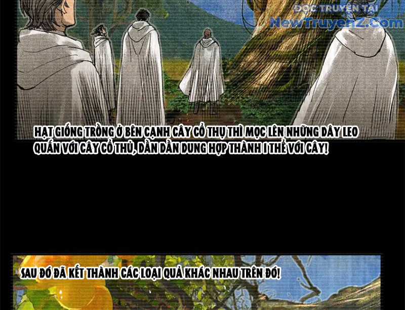 Thiên Hạ Đệ Nhất Lữ Bố Chương 125 trang 56