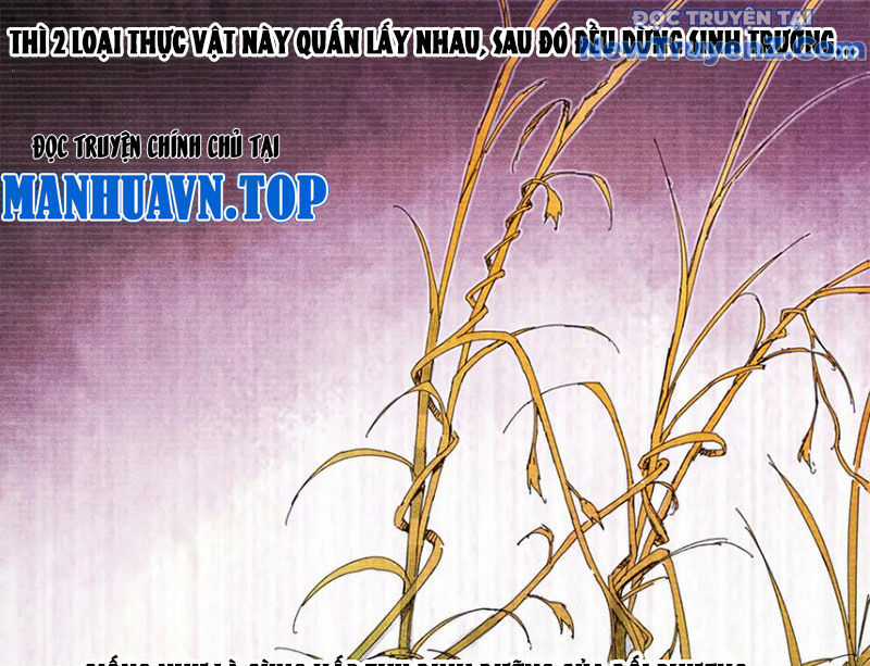 Thiên Hạ Đệ Nhất Lữ Bố Chương 125 trang 82