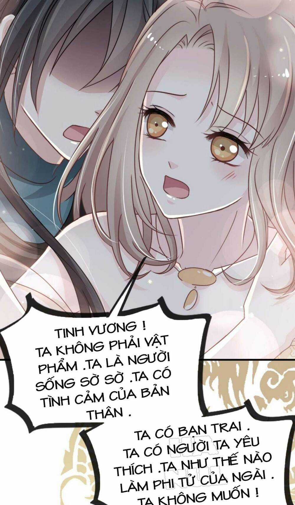 Thiên Hạ Đệ Nhất Sủng Phi Chapter 20 trang 15