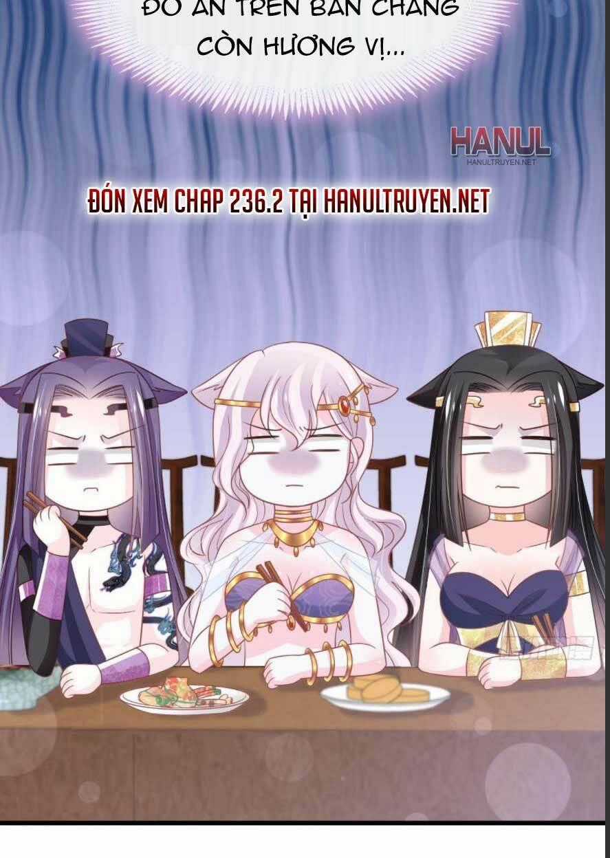 Thiên Hạ Đệ Nhất Sủng Phi Chapter 236.1 trang 18