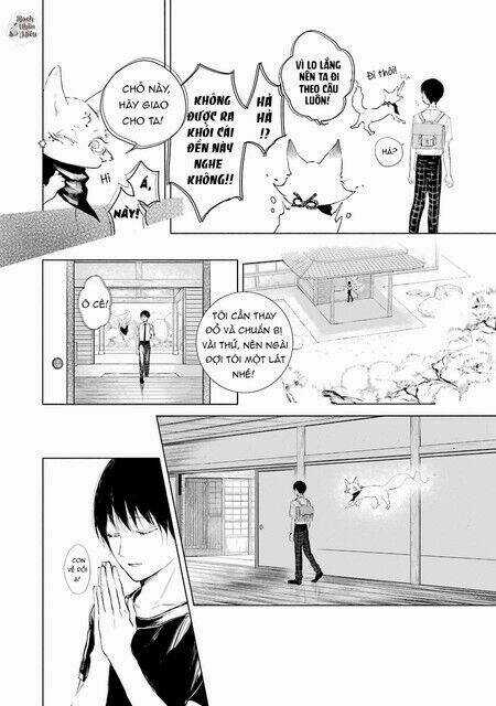 Thiên Hồ Và Phong Ấn Thuật Chapter 1 trang 12