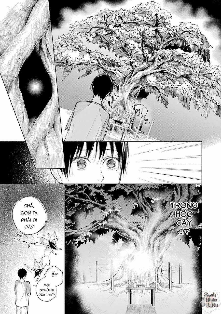 Thiên Hồ Và Phong Ấn Thuật Chapter 3 trang 19