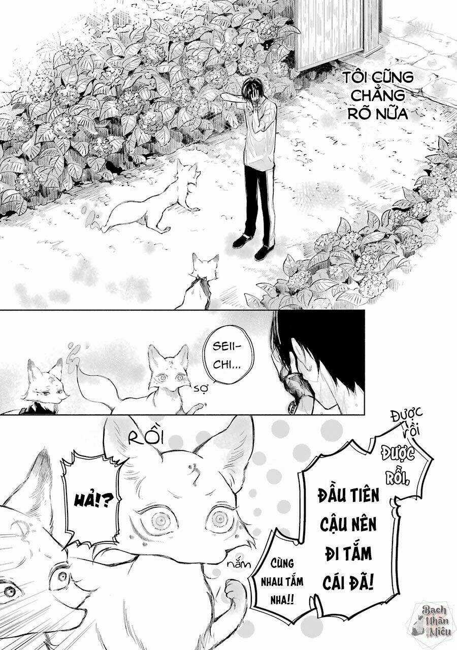 Thiên Hồ Và Phong Ấn Thuật Chapter 3 trang 3