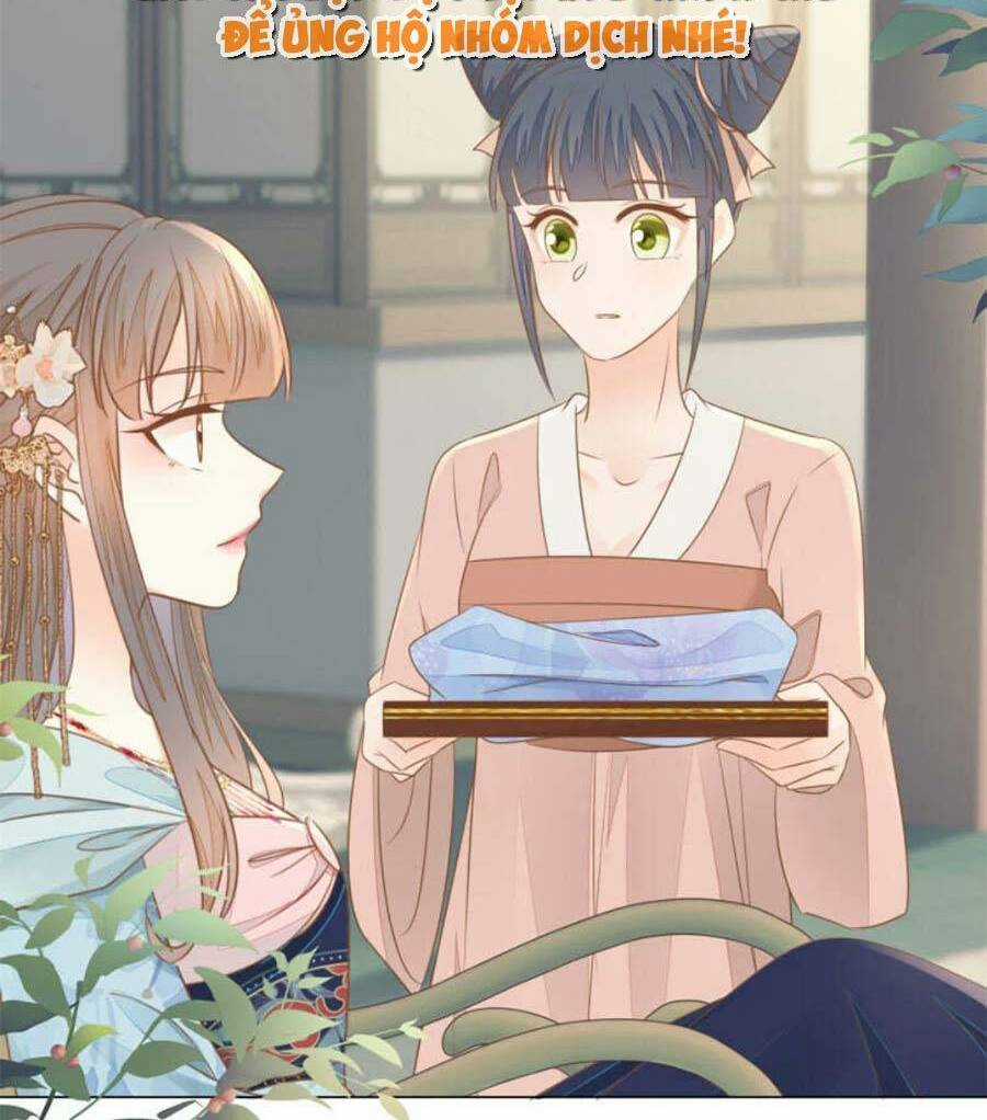 Thiên Kim Độc Phi Trọng Sinh Chapter 20 trang 4