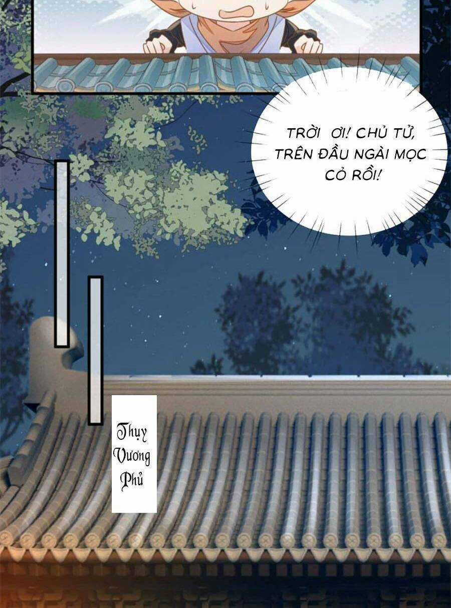 Thiên Kim Độc Phi Trọng Sinh Chapter 27 trang 5