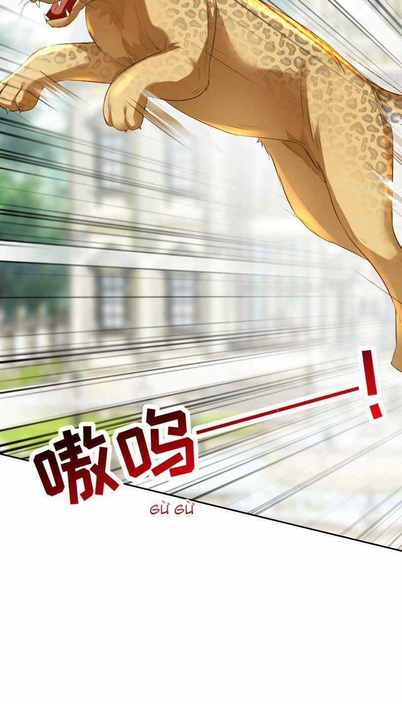 Thiên Kim Giàu Có Phát Điên Sau Khi Tái Sinh Chapter 5 trang 41