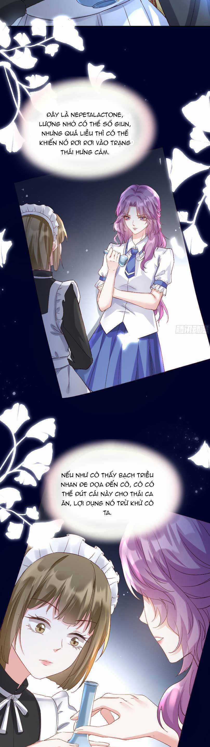 Thiên Kim Giàu Có Phát Điên Sau Khi Tái Sinh Chapter 6 trang 11