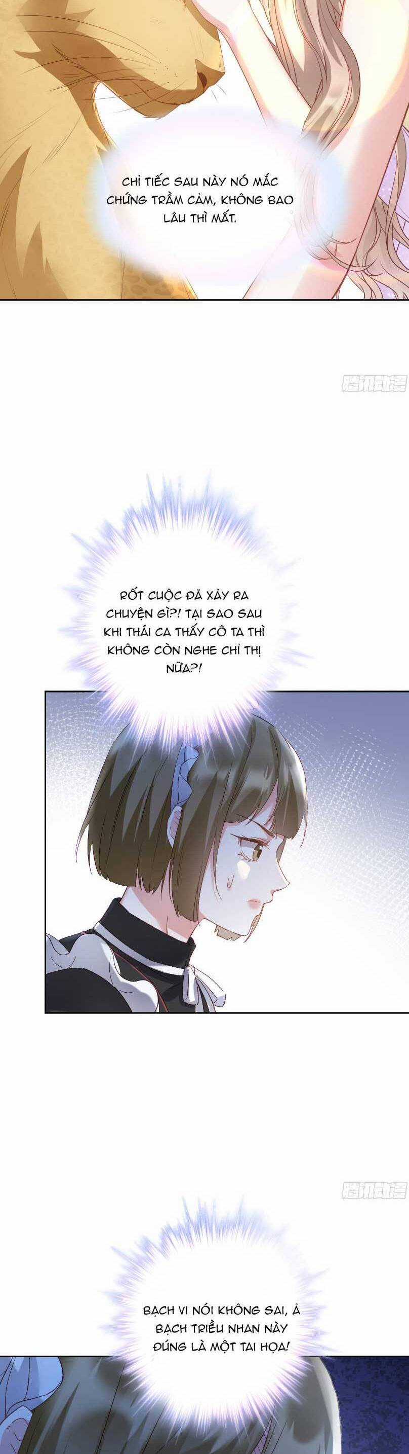 Thiên Kim Giàu Có Phát Điên Sau Khi Tái Sinh Chapter 6 trang 8