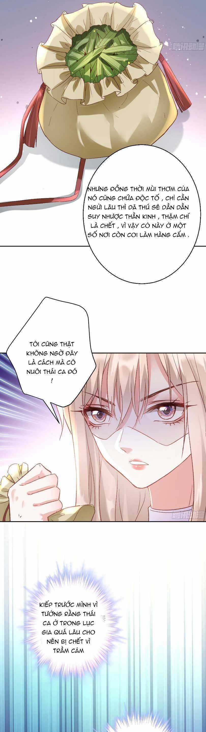 Thiên Kim Giàu Có Phát Điên Sau Khi Tái Sinh Chapter 7 trang 11