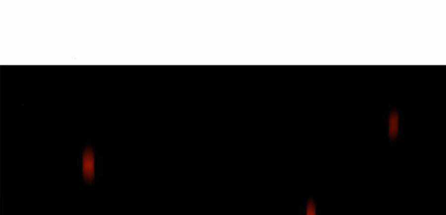 Thiên Ma Thần Quyết: Trùng Sinh Chapter 14 trang 169