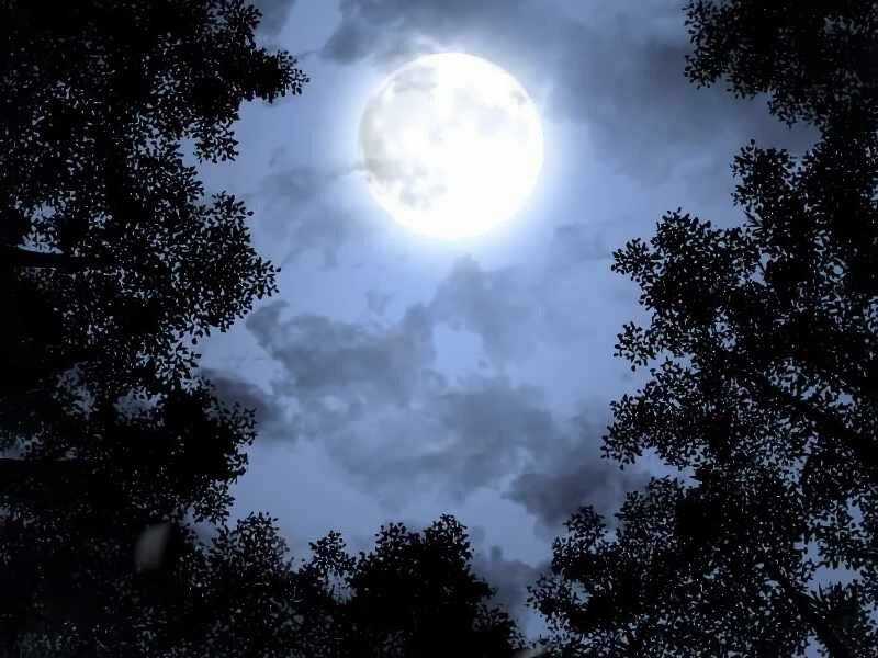 Thiên Ma Thần Quyết: Trùng Sinh Chapter 43.5 trang 148