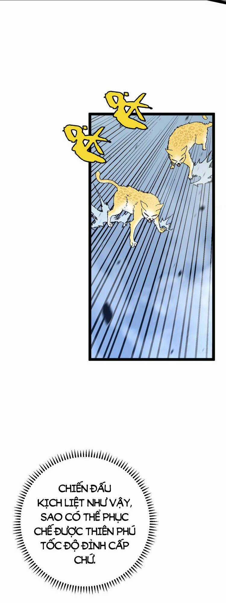 Thiên Phú Của Ngươi, Giờ Là Của Ta Chapter 44 trang 41