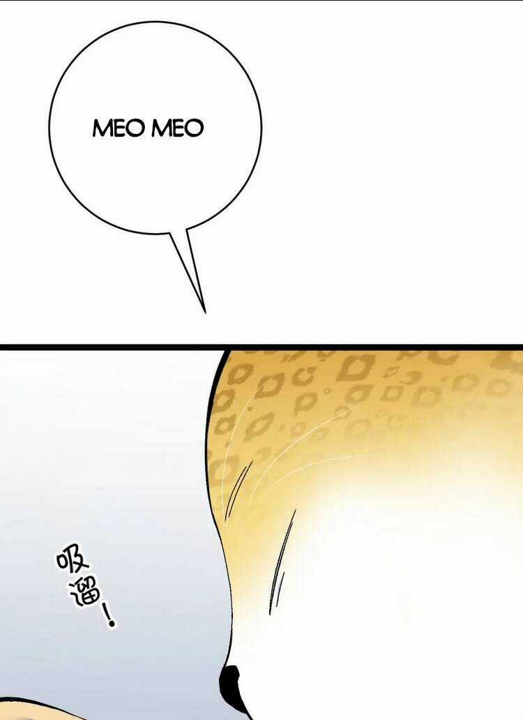 Thiên Phú Của Ngươi, Giờ Là Của Ta Chapter 45 trang 19