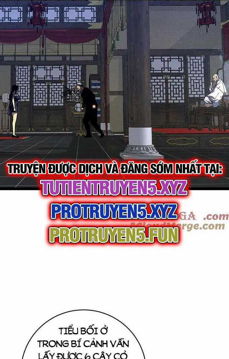 Thiên Phú Của Ngươi, Giờ Là Của Ta Chapter 74 trang 4