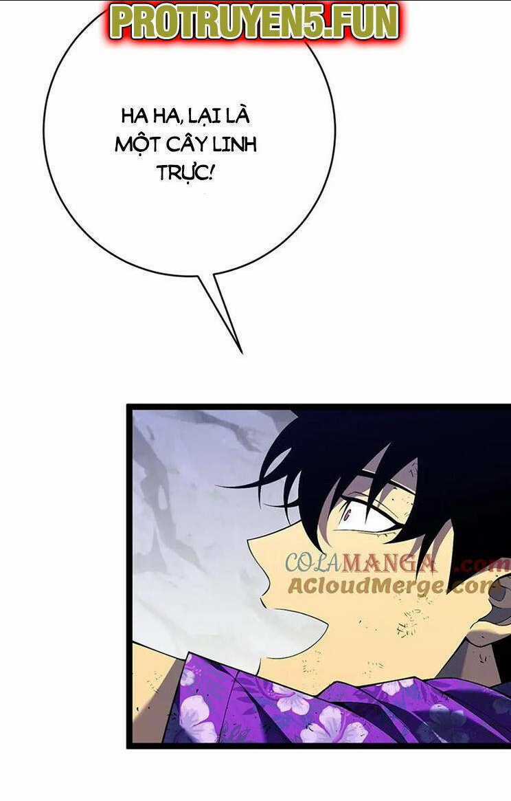 Thiên Phú Của Ngươi, Giờ Là Của Ta Chapter 75 trang 17