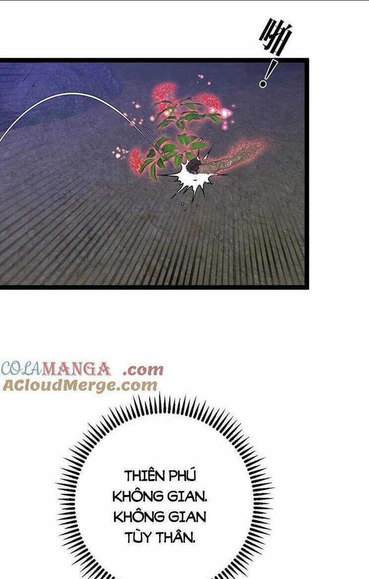 Thiên Phú Của Ngươi, Giờ Là Của Ta Chapter 75 trang 25