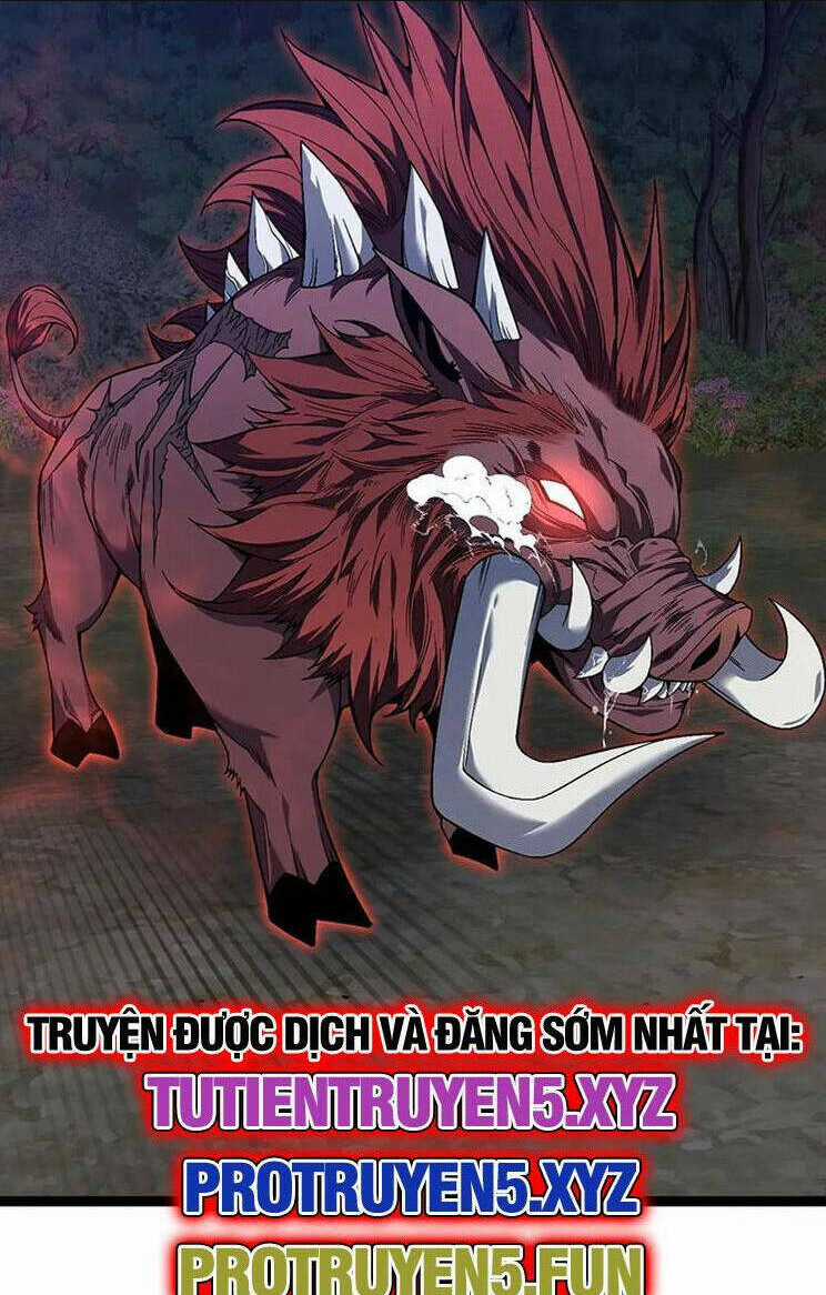 Thiên Phú Của Ngươi, Giờ Là Của Ta Chapter 75 trang 44