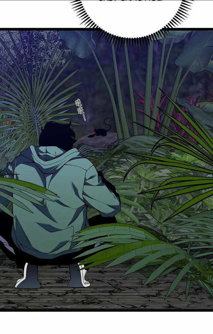 Thiên Phú Của Ngươi, Giờ Là Của Ta Chapter 75 trang 61