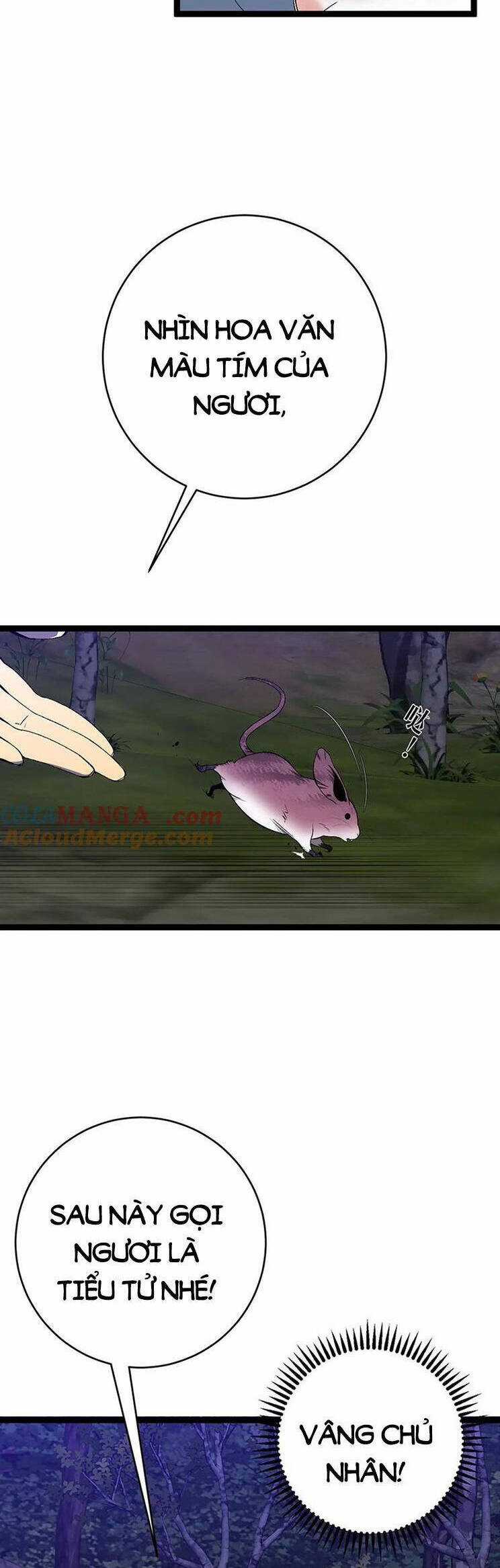 Thiên Phú Của Ngươi, Giờ Là Của Ta Chapter 76 trang 10