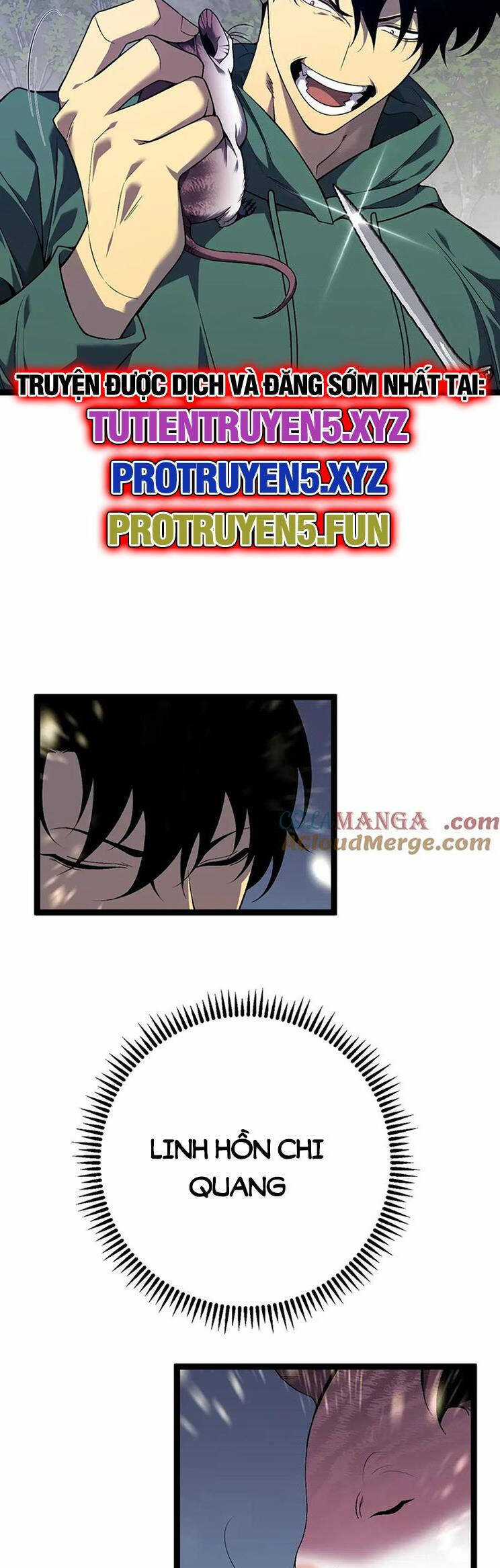 Thiên Phú Của Ngươi, Giờ Là Của Ta Chapter 76 trang 9