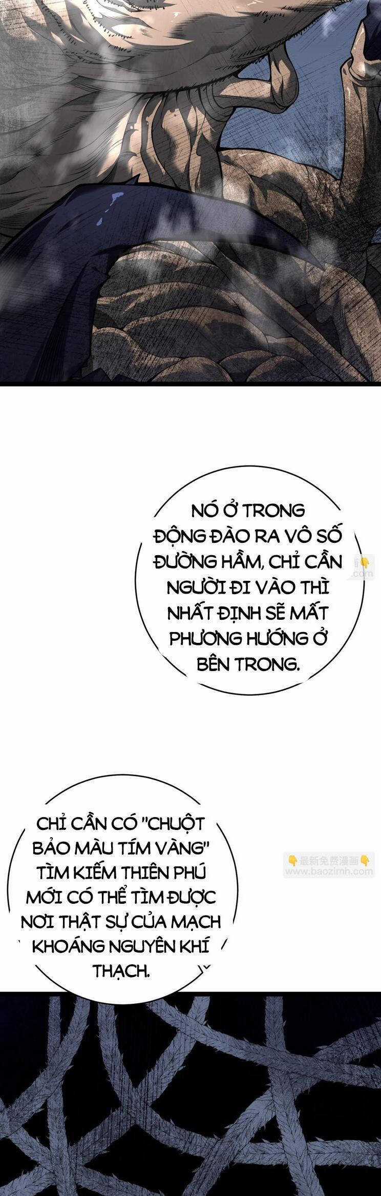 Thiên Phú Của Ngươi, Giờ Là Của Ta Chapter 78 trang 21