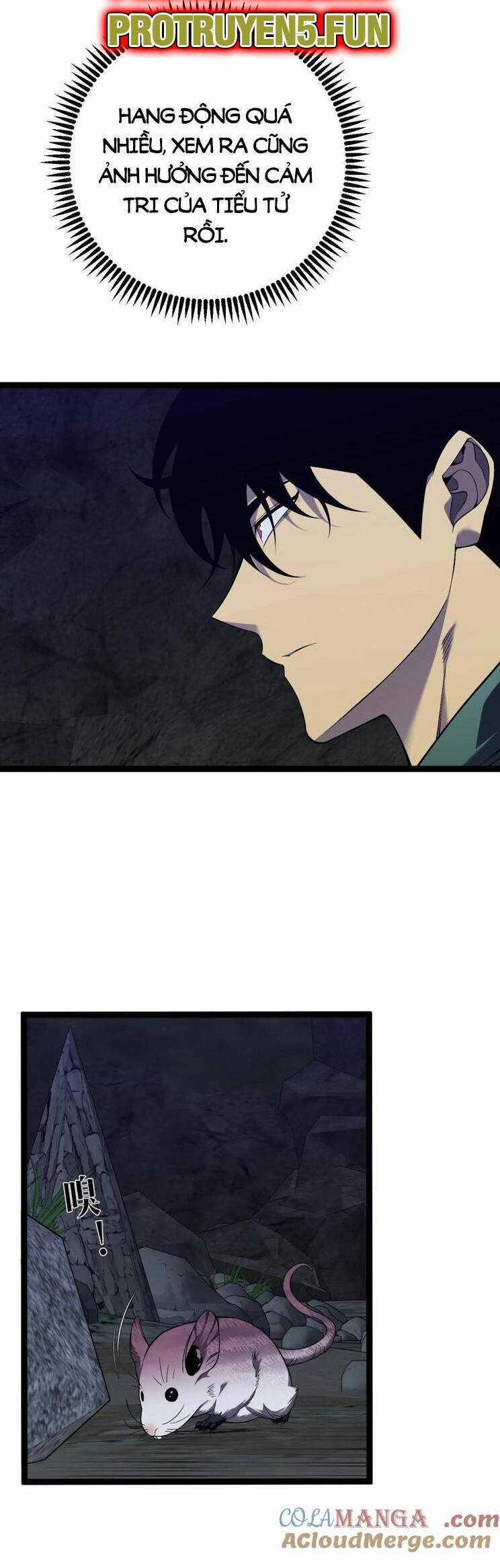 Thiên Phú Của Ngươi, Giờ Là Của Ta Chapter 79 trang 23