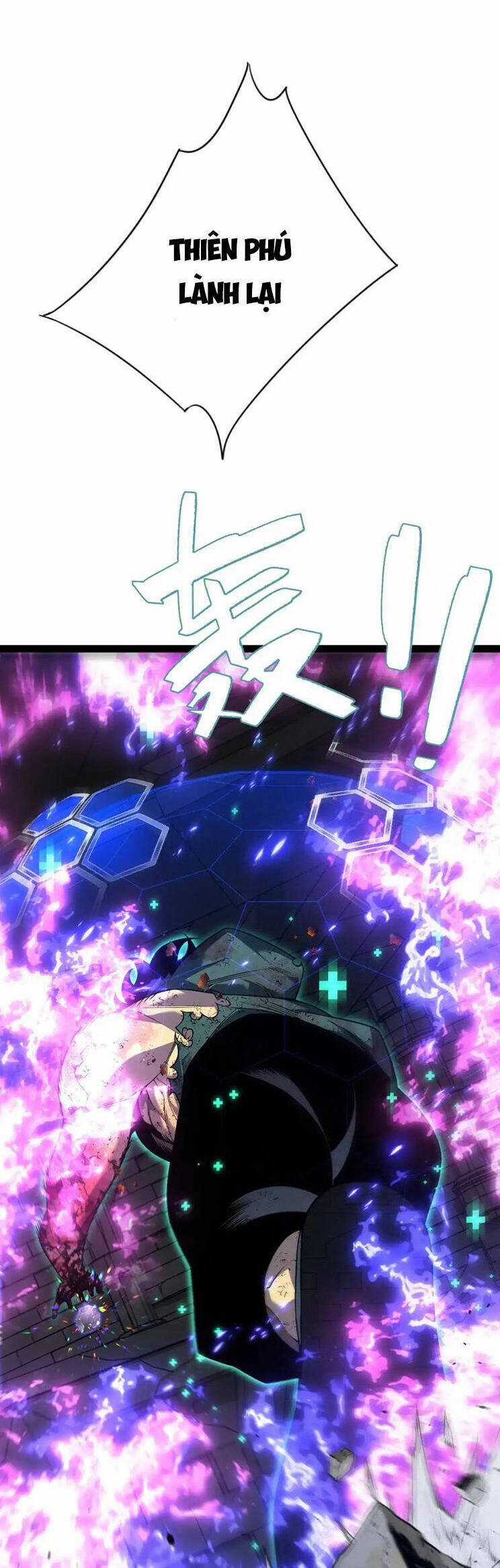Thiên Phú Của Ngươi, Giờ Là Của Ta Chapter 81 trang 17