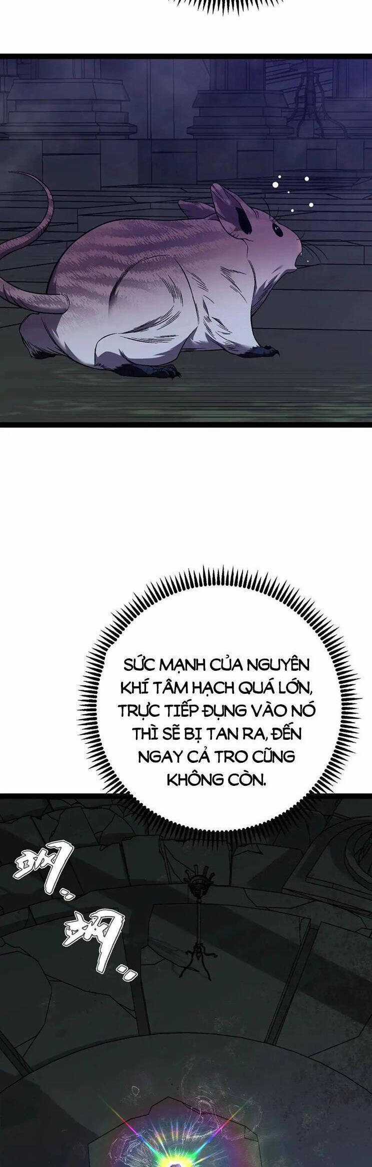 Thiên Phú Của Ngươi, Giờ Là Của Ta Chapter 81 trang 5