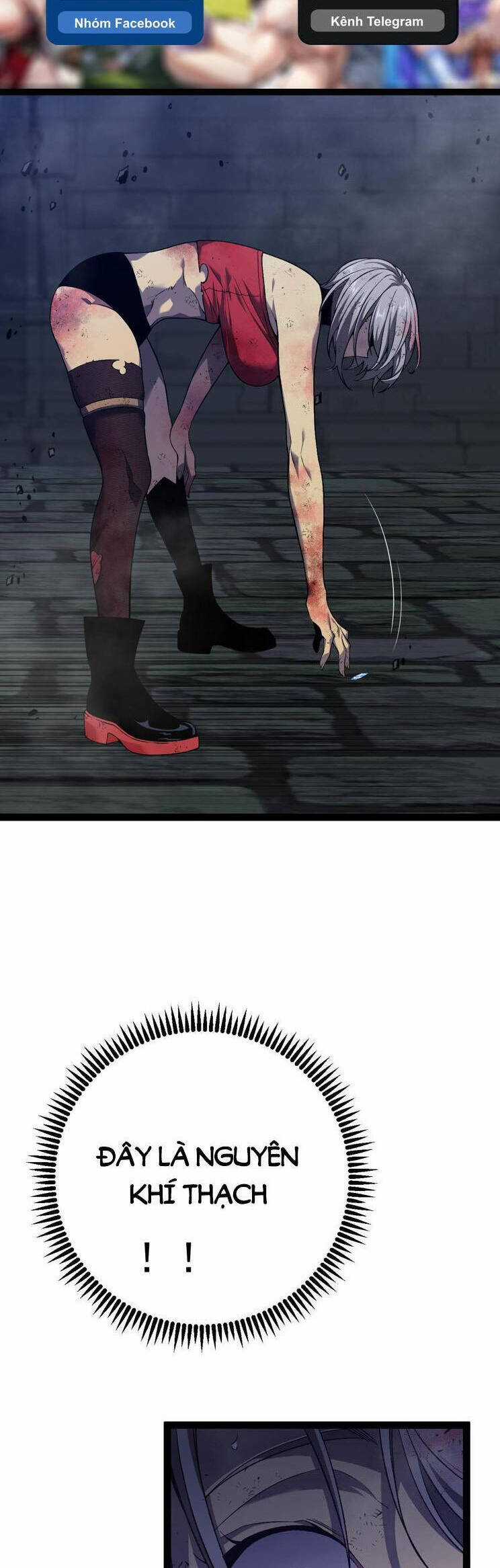 Thiên Phú Của Ngươi, Giờ Là Của Ta Chapter 82 trang 10