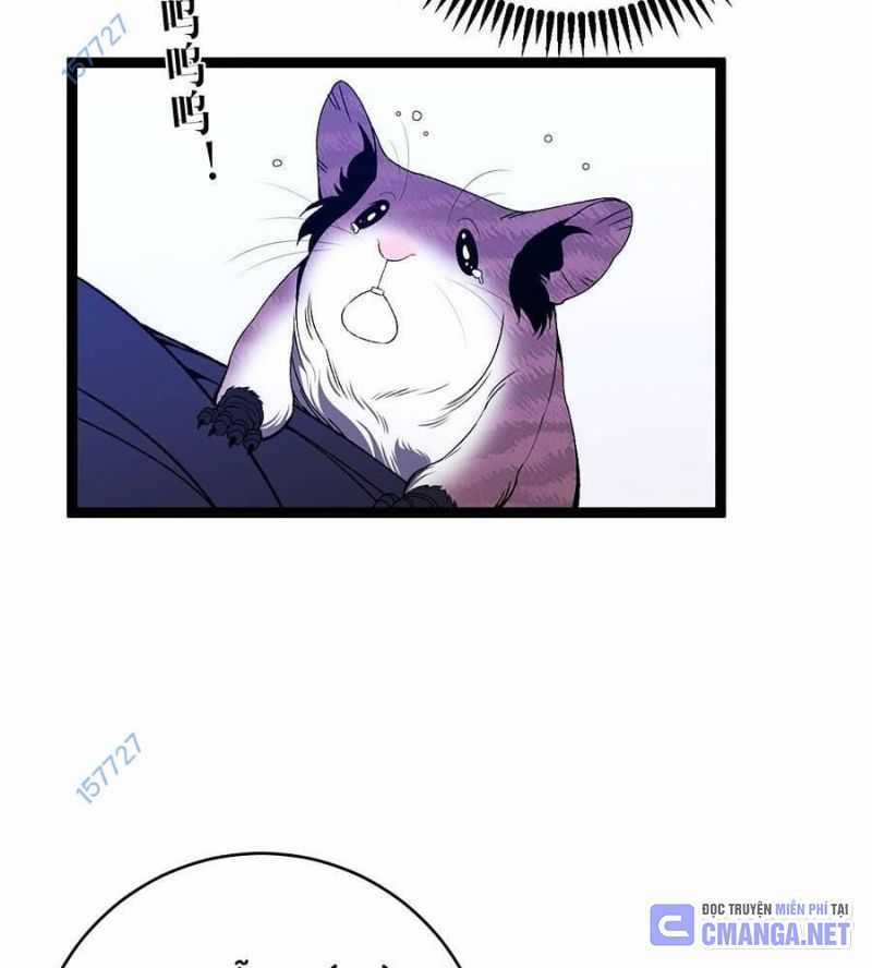 Thiên Phú Của Ngươi, Giờ Là Của Ta Chapter 85: ToptruyenZ.com trang 21