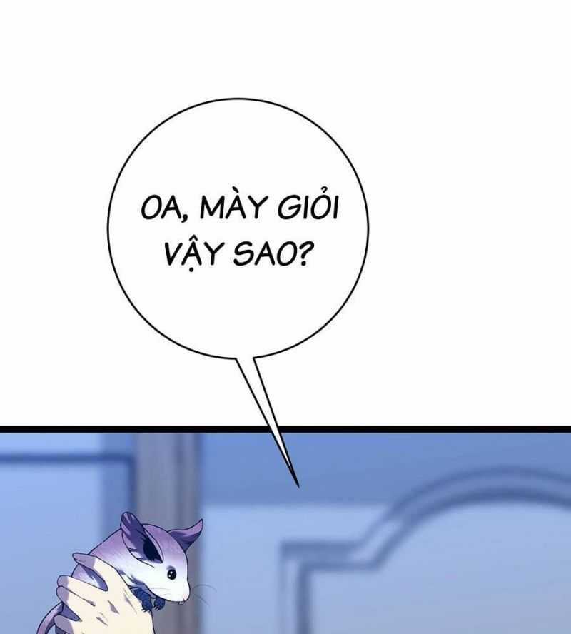 Thiên Phú Của Ngươi, Giờ Là Của Ta Chapter 85: ToptruyenZ.com trang 70