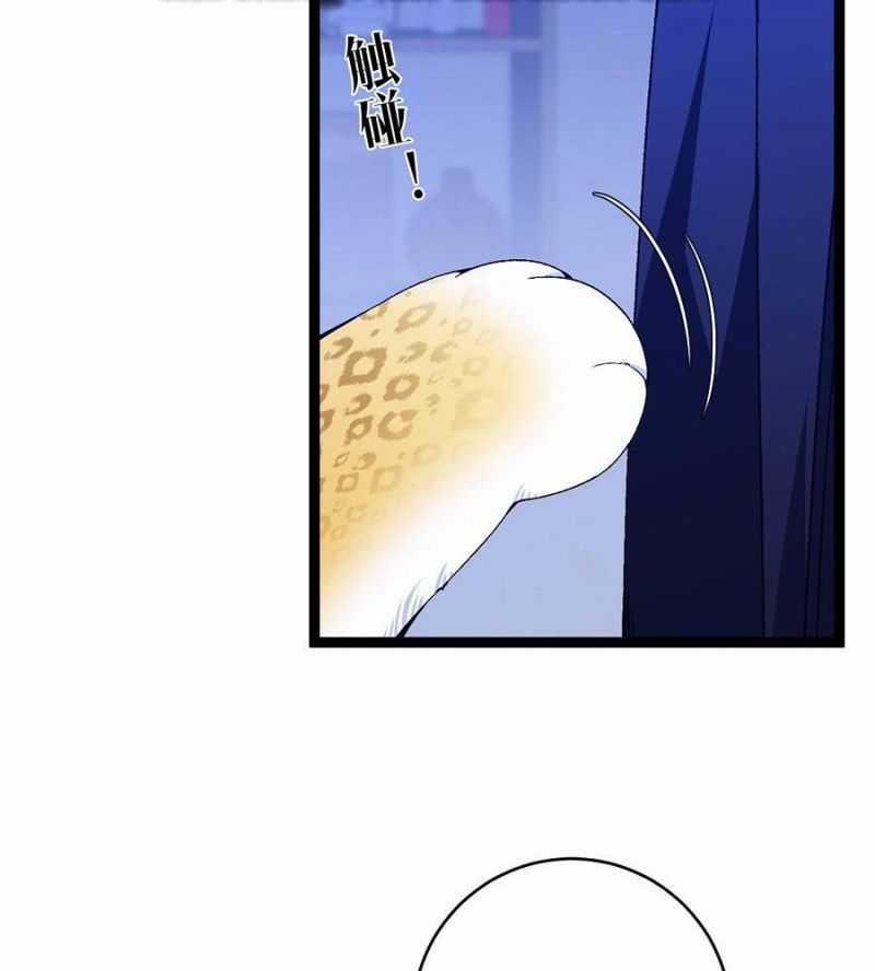 Thiên Phú Của Ngươi, Giờ Là Của Ta Chapter 85: ToptruyenZ.com trang 74