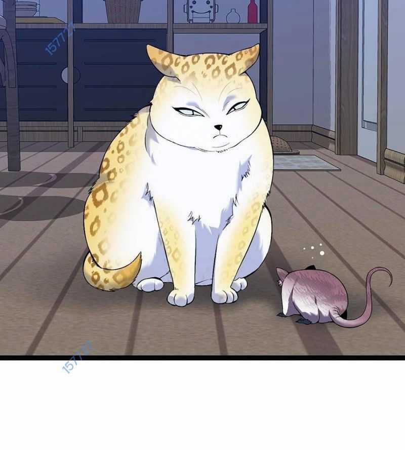 Thiên Phú Của Ngươi, Giờ Là Của Ta Chapter 85: ToptruyenZ.com trang 85