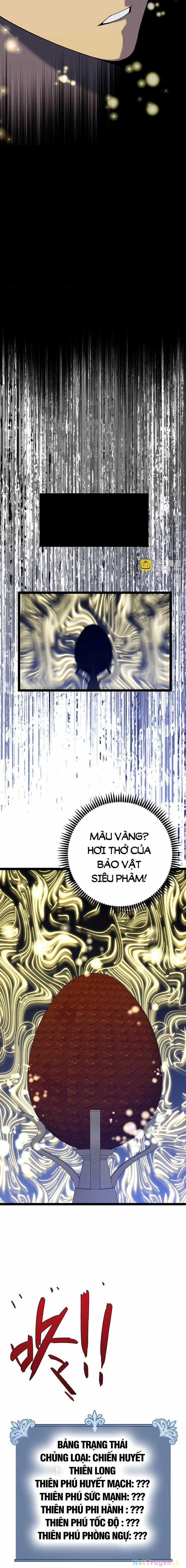 Thiên Phú Của Ngươi, Giờ Là Của Ta Chapter 86 trang 12