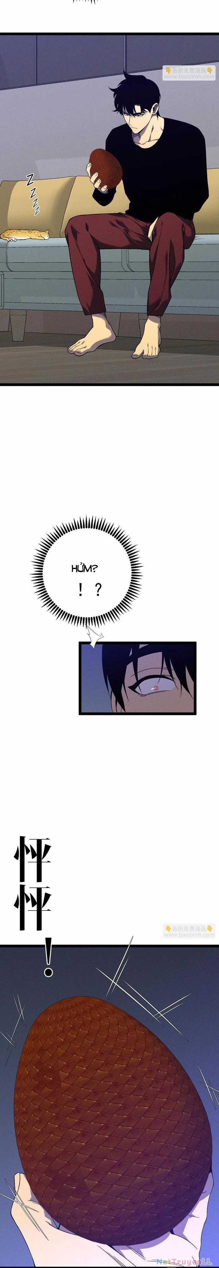 Thiên Phú Của Ngươi, Giờ Là Của Ta Chapter 88 trang 11