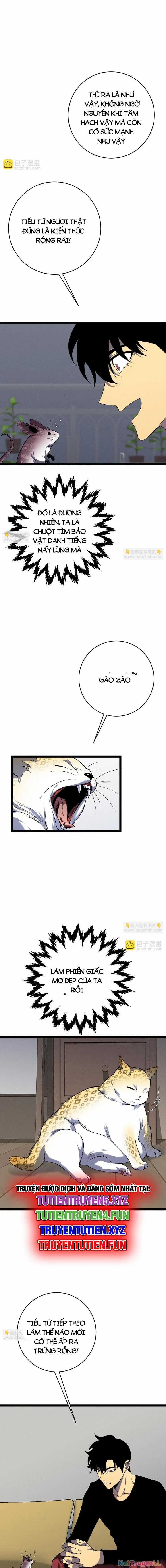 Thiên Phú Của Ngươi, Giờ Là Của Ta Chapter 89 trang 6