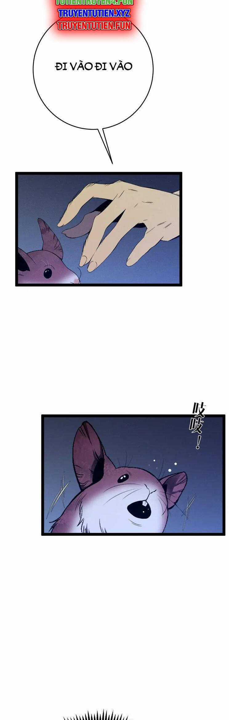 Thiên Phú Của Ngươi, Giờ Là Của Ta Chapter 94 trang 12