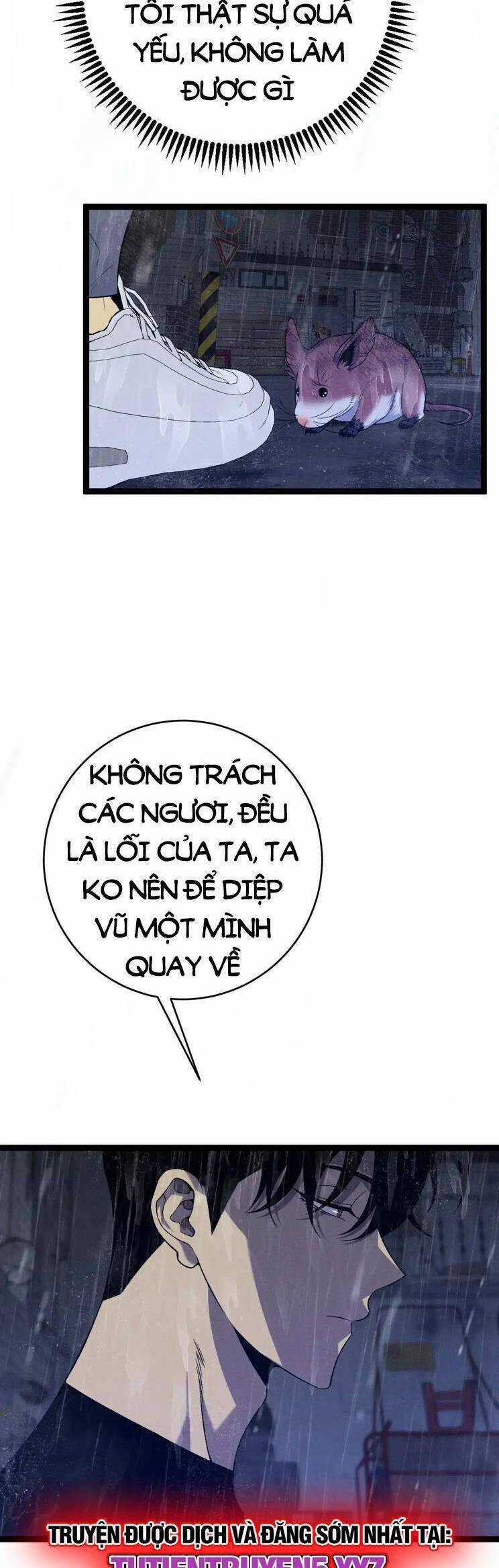 Thiên Phú Của Ngươi, Giờ Là Của Ta Chapter 95 trang 11